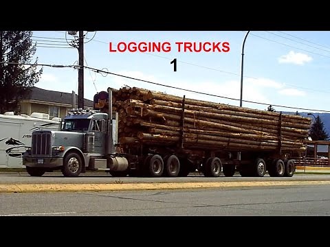 LOGGING TRUCKS #5 - Various Axle Configurations & Riggings Haul Tree-Length & CTL logs. [Video]