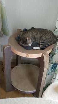 ちびちゃんとデカちゃん #cat