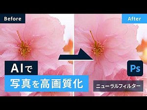 AIで画像・写真を高解像度化！画質を良くするカンタンな方法｜Photoshop｜アドビ公式