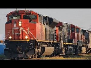 CN 8911 with Transtronic E-Bell Leads CN G897 Northbound - Effingham, IL