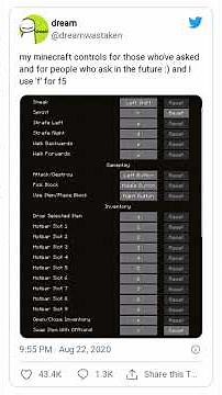 Dream has revealed his Minecraft settings