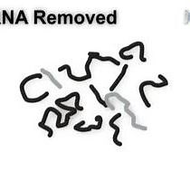 Video: Analyzing Gene Expression from Marine Microbial Communities using Environmental Transcriptomics