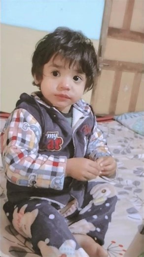 kya vedio banata rehta hai #funny #pets #labrador