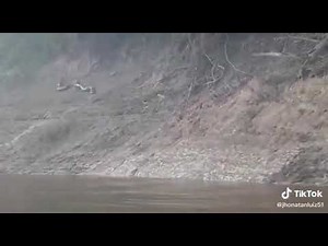 Titanoboa real amazon