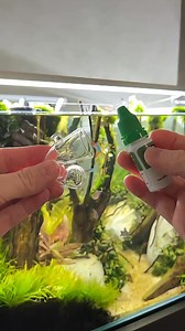 Setting Uo Co2 Drop Checker #plantedaquarium #aquarium #plantedtank #aquascaping #aquascape #fishtank | Emscaping