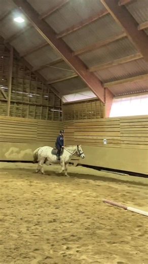 En autonomie, pour sa deuxième séance…Trot enlevée presque ok….🤗🌈 | Cheval de Coeur