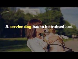Service Dog Training
