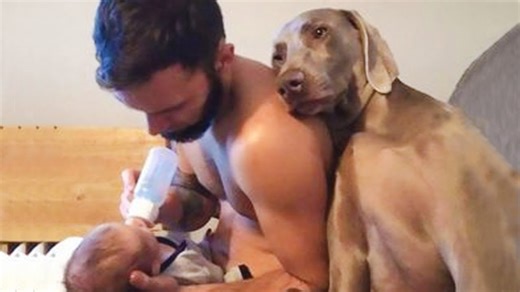 Why life is simply better when you have a dog