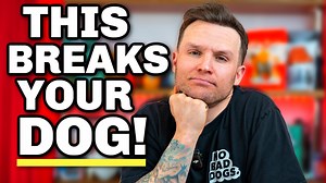 Why you should NEVER correct your dog. Only. Correct your dog only. Struggling with your dog’s behavior? In this video, professional dog trainer Tom Davis breaks down the truth about dog training—and why your current methods might not be working. Whether you're dealing with leash pulling, reactivity, aggression, or just a dog that won’t listen, this is your go-to guide. The question here is should you correct or punish your dog while dog training? Doesn't matter if your training a puppy or your 