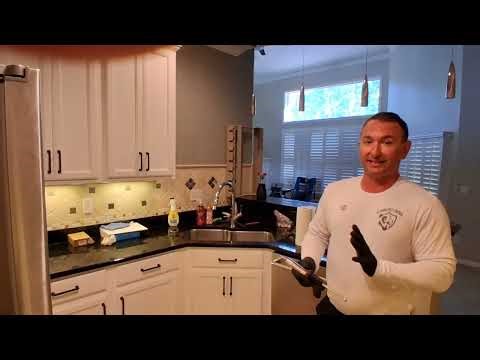 German Cockroach Extermination | St. Johns Pest Control | St. Johns, FL