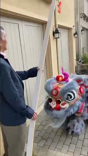 Cute Gray Lion Dance