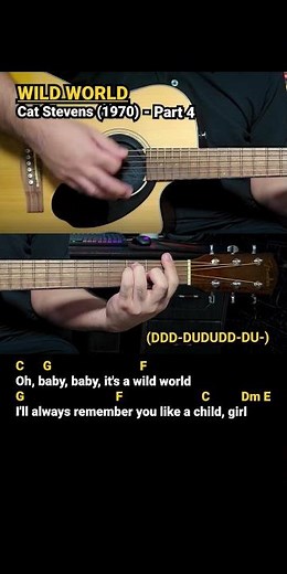 Wild World - Cat Stevens (1970) Easy Guitar Chords Tutorial with Lyrics Part 4 SHORTS REELS