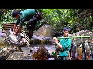 Primitive Life in the Wild: Fishing in a Forest Stream & Traditional Preservation
