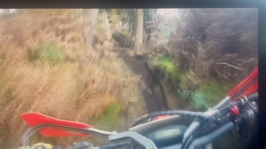 Patrick Robinson on Reels