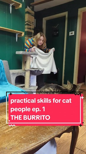 How to Burrito a Cat for Easy Handling