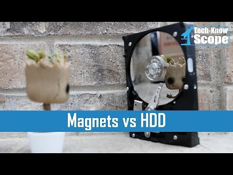 ▶️ Can a Magnet Damage a HDD?
