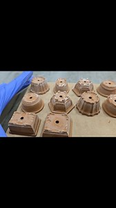 The first little 1.5inch shito bonsai pots and wow are we happy with how they are coming out... Cute little buggers.  | Willow Bonsai | Facebook