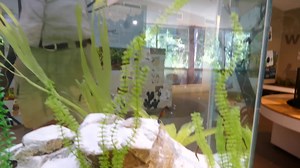 3.2K views · 232 reactions | Have you visited the Envirodome at...