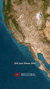 1992 Los Angeles riots: Rooftop Koreans, American Koreans, defended their neighbourhood. #usa #newyork #unitedstates #losangeles #american | Wascemal