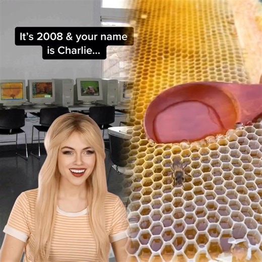 I can’t imagine how many times the “Charlie Bit Me” and “Charlie the Unicorn” viral videos were