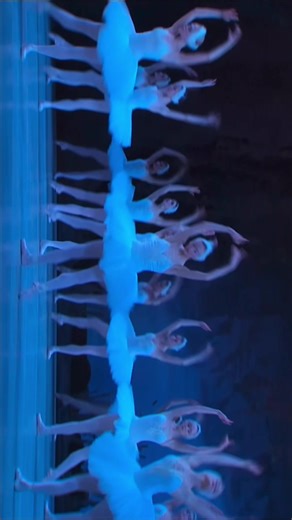 The beauty of swan lake 🦢🪞#swanlakeballet #dancer #edit #natialiaosipova