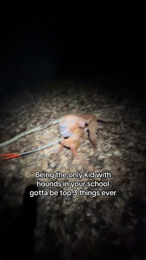 The Unique Experience of Being a Kid with Hounds