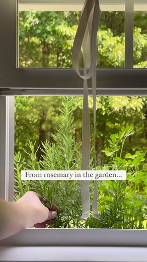 7.5K views · 61 reactions | I think you guys know how much I love...