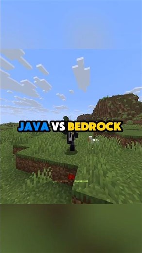 Minecraft Java Vs Bedrock ! 😱🔥 #minecraft #shorts