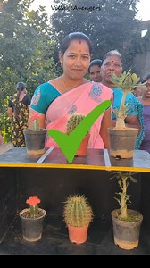 2.5K views · 51 reactions | Match the desert plants and win cooking oil | Village Avengers | Facebook