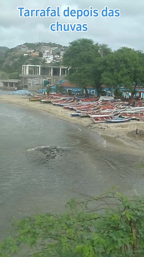 517 reactions · 38 shares | #tarrafal | Niltom Oliveira | Facebook