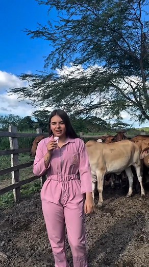 ‼️Detección de celo en vacas‼️ Aprende a detectar correctamente el celo 👌🐄🥛 Créditos: @nathaliaromerovet | Medicina Veterinaria Práctica Grandes Especies