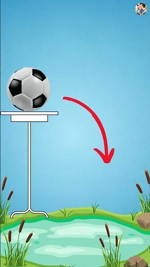 What is Equilibrium? #equilibrium #physics #study #sciencefacts