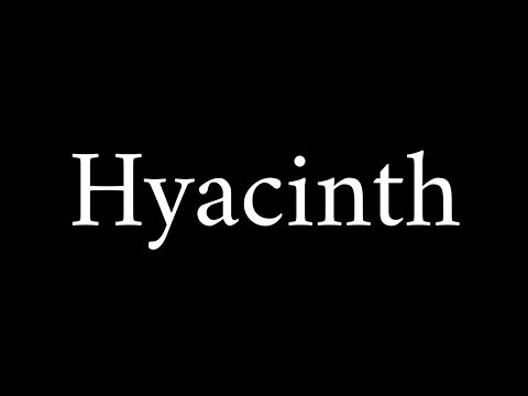 How to Pronounce Hyacinth (Correctly)