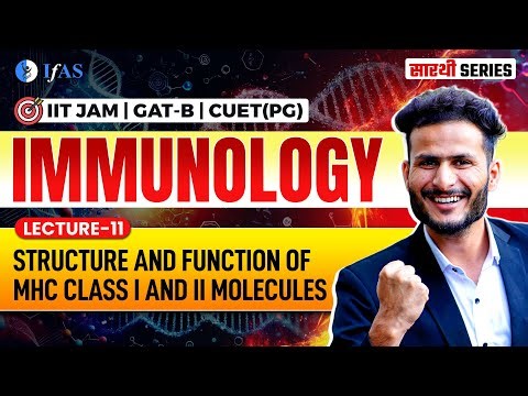 ​IMMUNOLOGY | Structure and Function of MHC Class I and II Molecules L-11 | IIT JAM, GAT-B & CUET PG