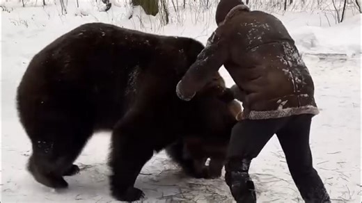 偶遇森林小熊、拼经全力无法逃脱