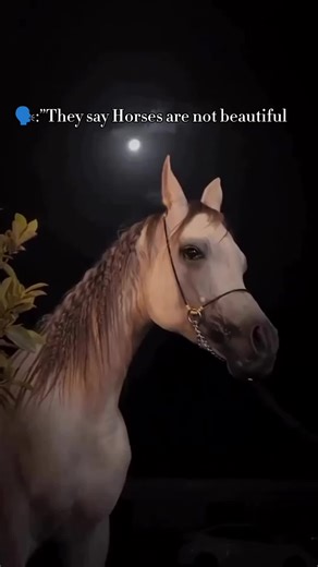 The Heartwarming Bond Between Horses and Humans