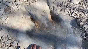 Excessive drought leads to incredible discovery at bottom of river
