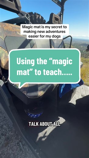Magic mat is one of the best things I have ever done with my dogs. This simple blue mat has helped us overcome fears of certain noises, sites of certain triggers and the unknowns. This has helped teach them where to go when the doorbell is rang or the door is knocked on, it’s been used to teach placement on a kayak and build confidence with that placement, i’ve used it at hotels when traveling alone, and needing to manage multiple dogs on my own… what I’ve used these mats for I don’t have enough