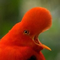 The most expensive lens in the world