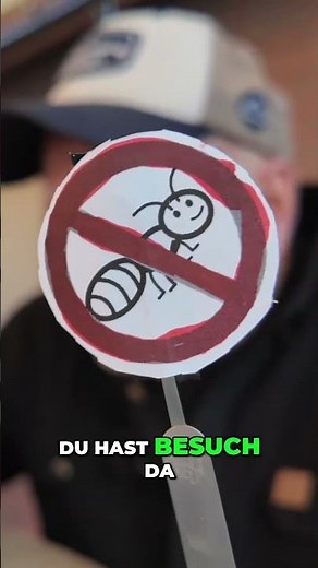 Schluss mit Ameisen! Schnelle & Effektive Lösungen für dein Zuhause