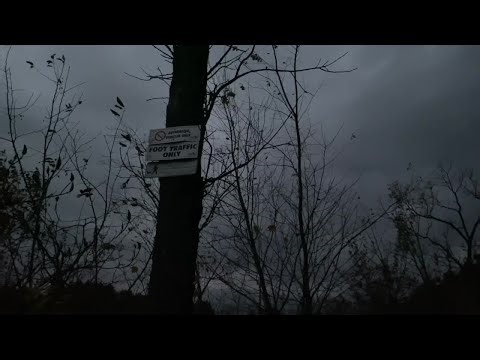 Paranormal Investigation: Uncovering the curse of Seven Gables Road