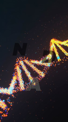 As we age, NAD+ levels naturally decline causing numerous cellular...