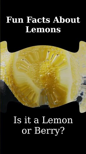 Fun Facts About Lemons