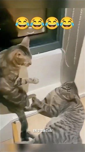 #5 Funny Animal Fails #shortsfeed #funnyanimal #shorts #dog #cat #viralshorts #trending