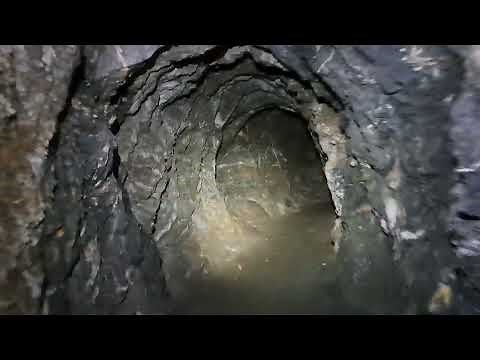 Realizing You're Not Alone While Exploring an Abandoned 1800s Gold Mine above Perry/Willard, Utah!
