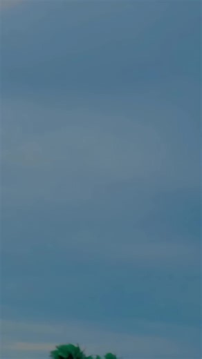 Ho _ Garzo _ De _ Laram _ 🦂_ Gwandy _ De _ sHer _ 🐅 _ Gwandy _ panjay _ Laro _ 🔥🦅