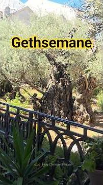 Gethsemane - Where the Passion of Christ Began