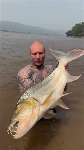 “The KING & QUEEN of Monsters 👑🐟 | The Legendary Goliath Tigerfish”