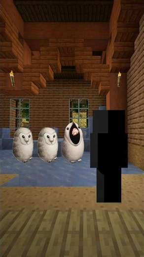 Hermit Cat (Tim Andraka) | Minecraft Animation #analoghorror #horror