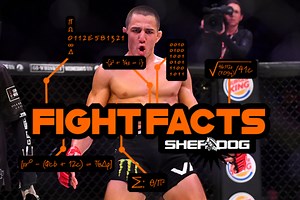 Fight Facts: Bellator 238